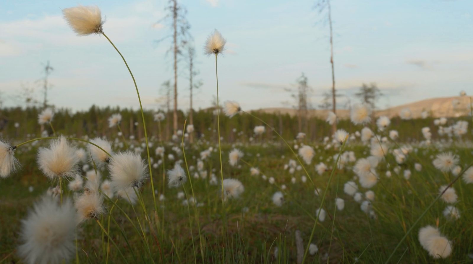 Kesäkuusta tuli vuoden vahvin kuukausi